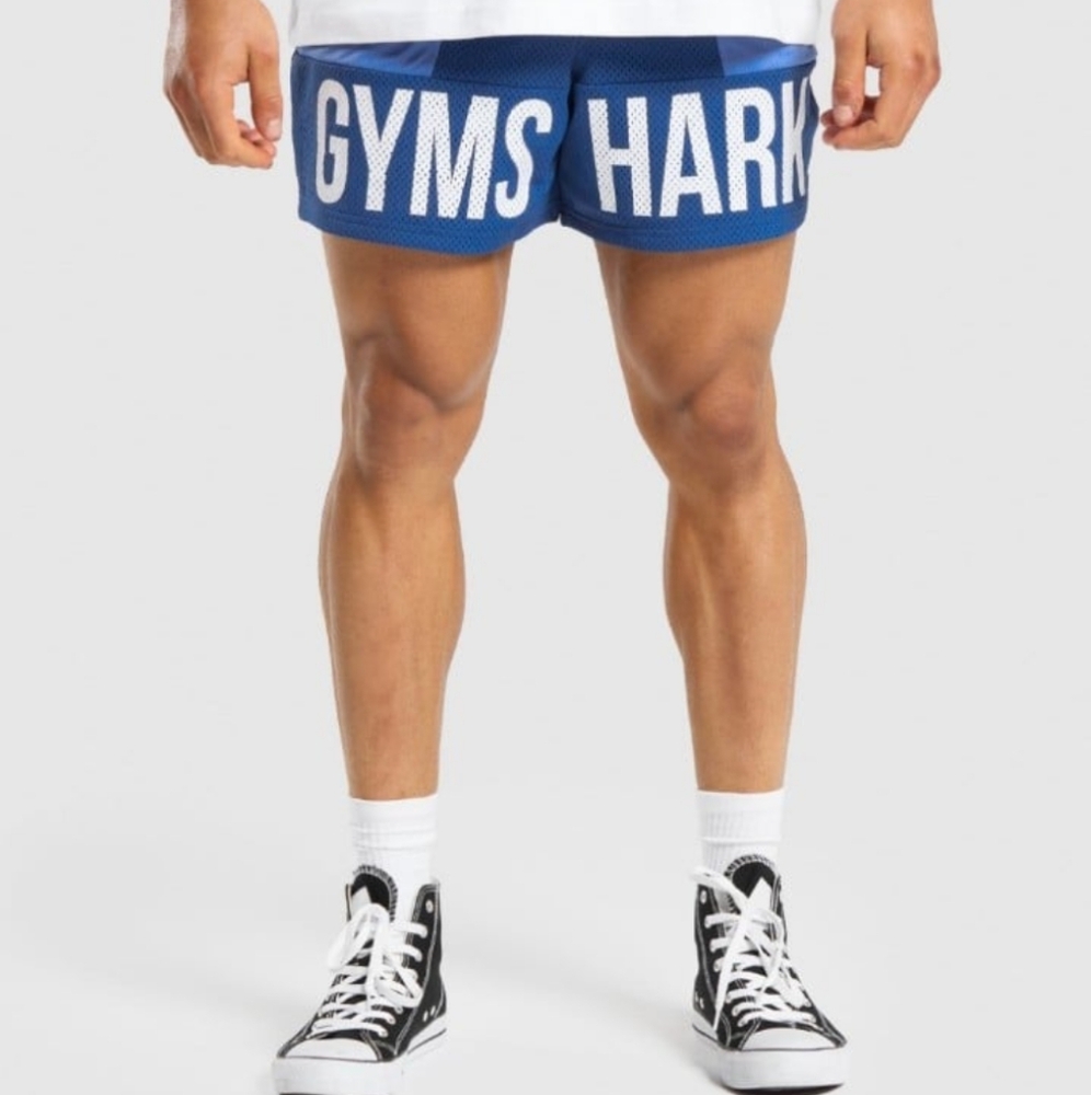 Gymshark Brand mark 5in Mesh shorts